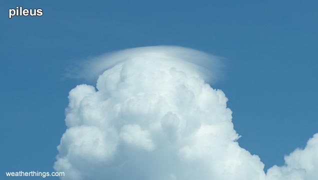cloud shaped like cap